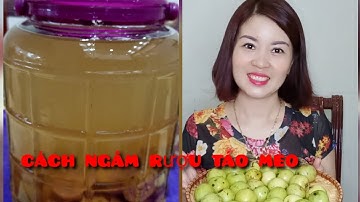 Cách ngâm rượu táo mèo chuẩn vị