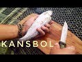 Mora Kansbol Review! Trout Cooking