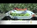اقتصاد المنتصف 3/11/2014