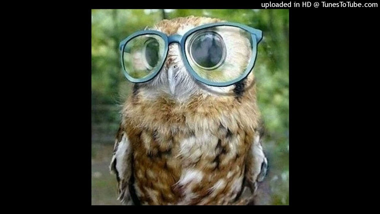 xaviersobased+fakemink type beat "oc34n"