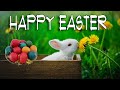 Happy Easter Music with Cute Bunny, Rabbit and Hare Pictures. Joyful Music for the Holiday.