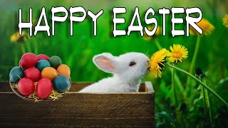 Happy Easter Music with Cute Bunny, Rabbit and Hare Pictures. Joyful Music for the Holiday.