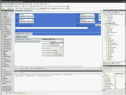 Crystal Report/ Visual Studio 2008 Issue
