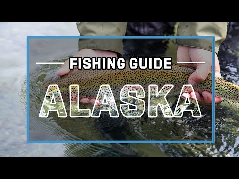 Fly Fishing Alaska: 5 Things You MUST Know Before Booking Your Trip