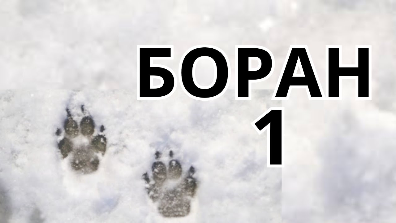 БОРАН / Тахауи Ахтанов