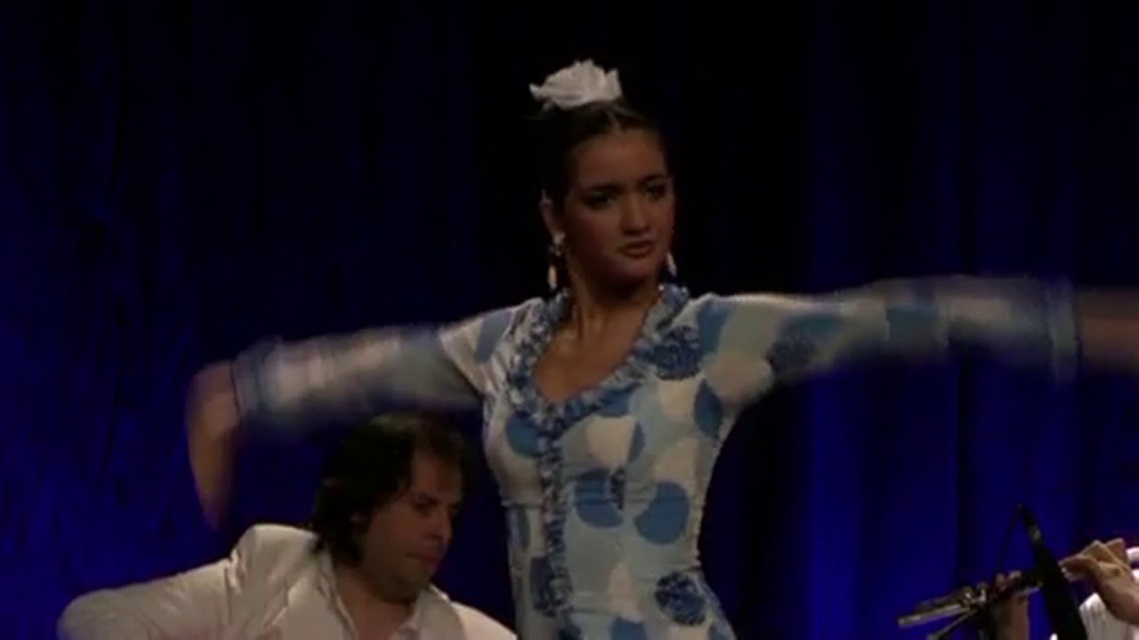 Antonio Andrade Compania Flamenca Tour 2008