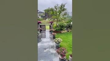 Sân vườn tiểu cảnh đẹp #tuanthietke #nhàđẹp #hokoi #cayxanh