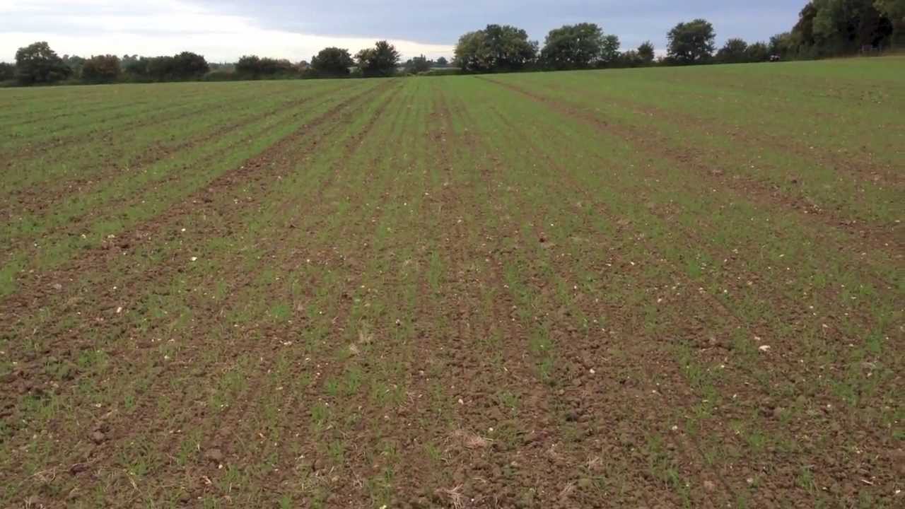 Early October Farm Roundup - YouTube