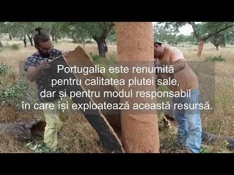 Video: Cum Se Usucă Pluta