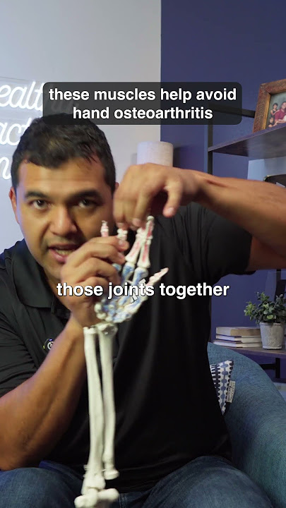 These muscles help avoid hand arthritis