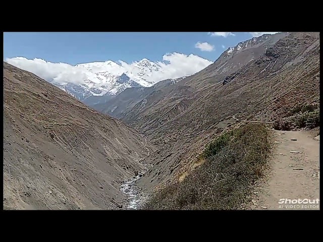 Anapurna circuit. Yak Kharka - Thoroung Pedi