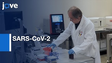 Multiplex Dual Reporter IgG and IgM SARS-CoV-2 Neutralization Assay | Protocol Preview
