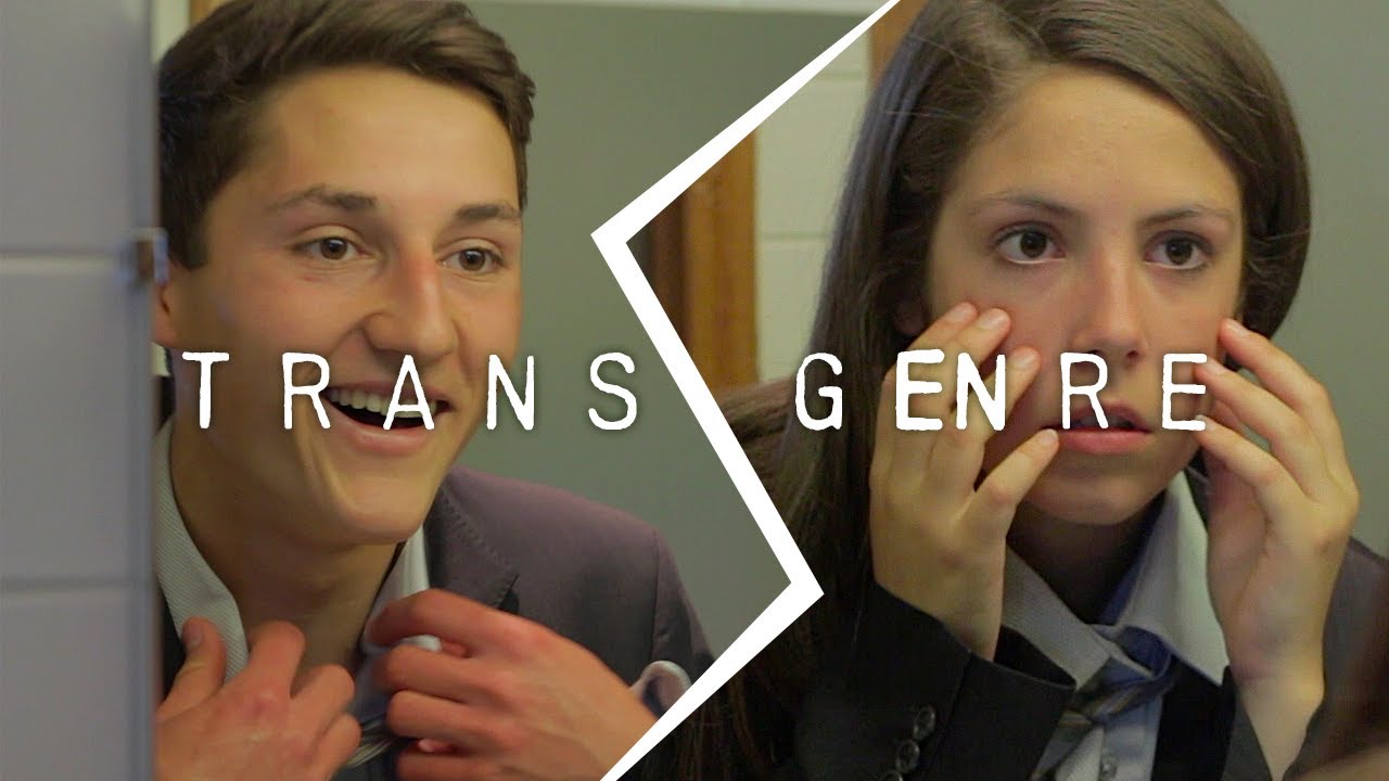 Transgenre (Lycée La Colinière - 2015)
