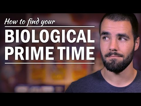 How to Find Your Most Productive Time of the Day - College Info Geek