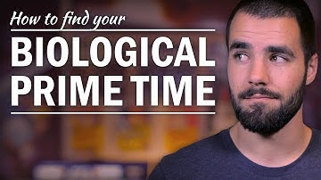 How to Find Your Most Productive Time of the Day - College Info Geek