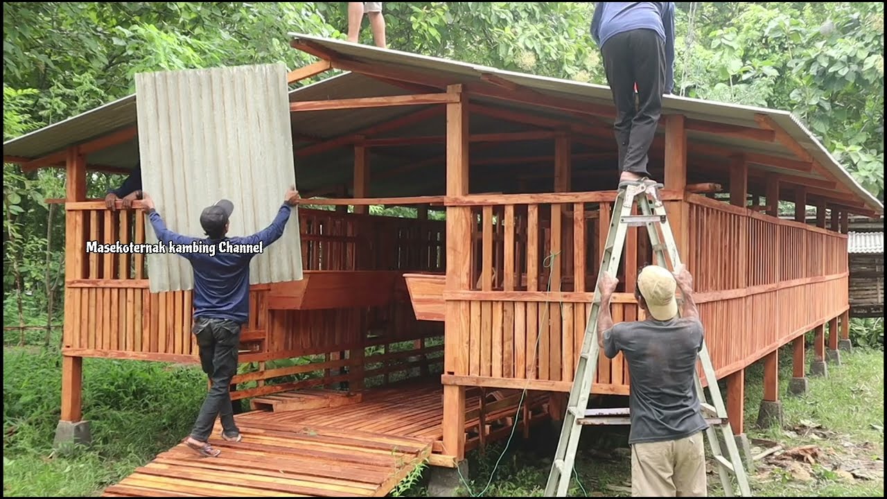 Kandang 12x5mtr untuk memulai bisnis ternak kambing di Madura info kandang +62 882-3919-9456