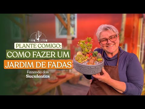 Vídeo: Projetando mini jardins de suculentas: como fazer um jardim de fadas com suculentas