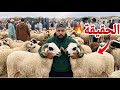 أثمنة حولي عيد الأضحى 2026 الحقيقة الكاملة من قلب السوق واش كاين الغلاء