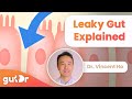 What is leaky gut  gutdr miniexplainer