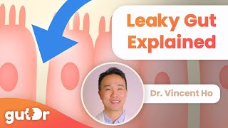 What is Leaky Gut? | GutDr MiniExplainer