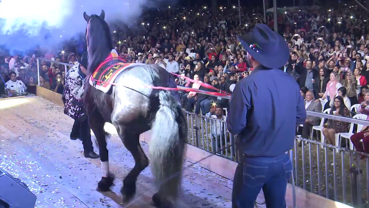 Sangoloteadito | En Vivo | Le gusta bailar pegado al ritmo de la tambora💃🕺