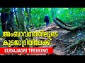 KUDAJADRI CHITHRAMOOLA TREKKING | കുടജാദ്രിയിലേക്ക് കാനനപാതയിലൂടെ | kollur mookambika temple