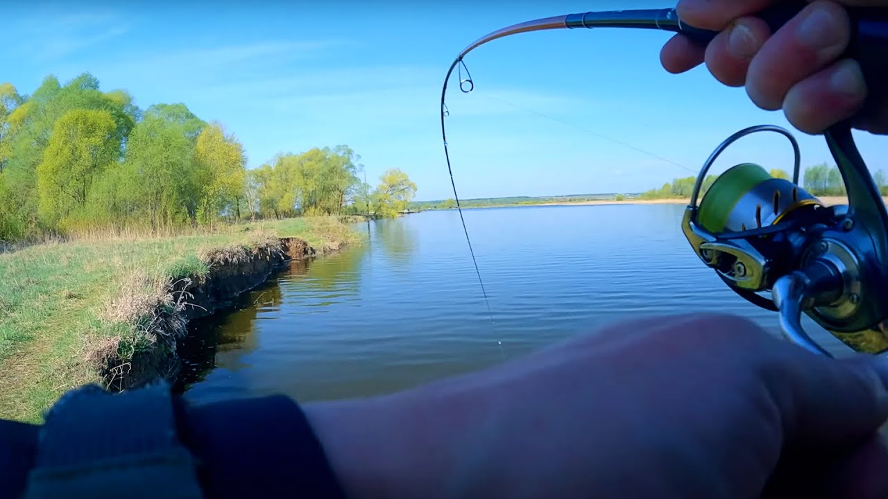 РАННЕвесенний СПИННИНГ. БЕРЕГОВАЯ ловля СУДАКА