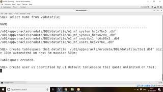 Oracle Users Privs Roles Wealth