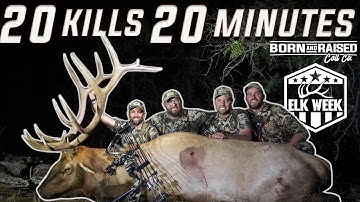 20 KILLS IN 20 MINUTES (ARCHERY ELK HUNTING)