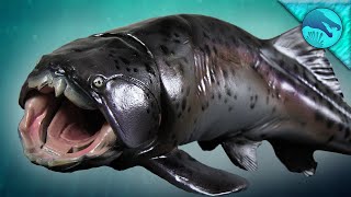 😍 The BEST Dunkleosteus! || PNSO Review