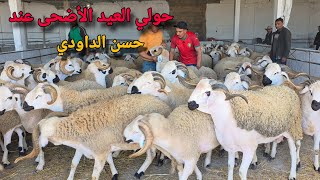 هذا هو حولي العيد لي كيبحث عليه الكل عند حسن الداودي