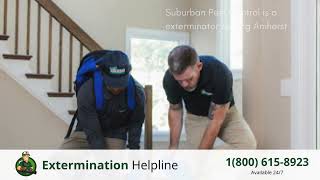 Top 3 Exterminators in Amherst