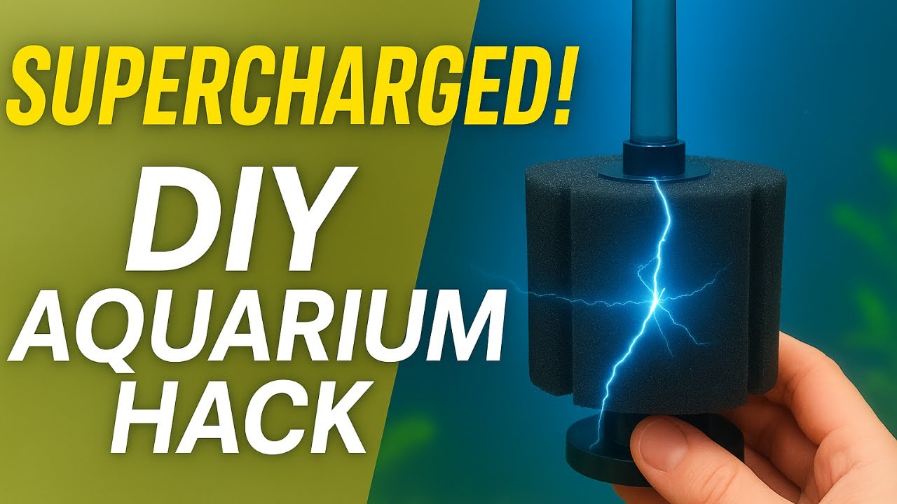 Supercharge Your Sponge Filter! DIY Aquarium Hack for Crystal Clear Water