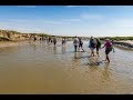 Dcouverte de la baie de somme avec un guide