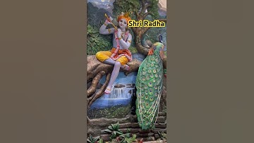 #radhakrishna #youtubeshorts #premanandjimaharaj #vrindavan#iskcon