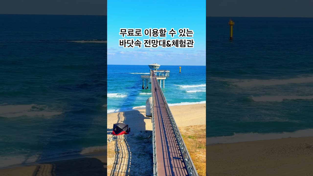 무조건 가봐야 할 바다 여행지! 에메랄드빛 청량한 바다 위에 자리잡은 곳,🩵 📍울진 국립해양과학관 #국내여행 #국내여행지추천 #shorts #울진 #울진여행 #동해 #동해바다