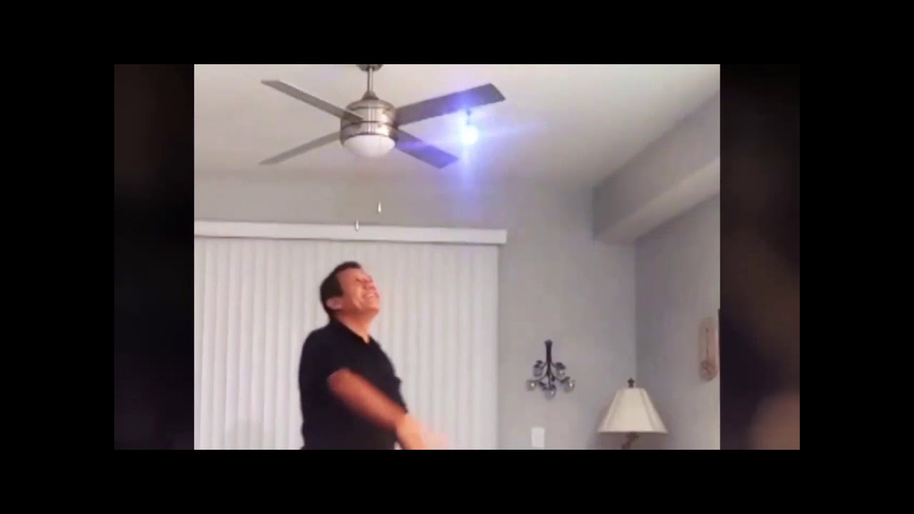 toyk flying toy ball