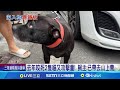狗咬人事件