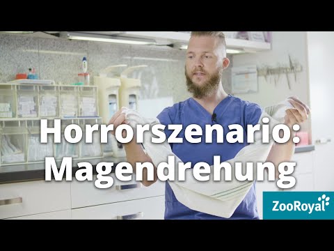 Video: Was verursacht Magendrehungen während der Schwangerschaft?