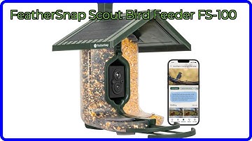 REVIEW (2025): FeatherSnap Scout Bird Feeder FS-100. ESSENTIAL details.