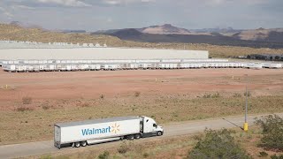 Walmart Delivery Drivers