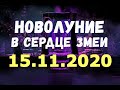 Новолуние  В СЕРДЦЕ ЗМЕИ 15 ноября 2020 года!