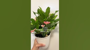 Introvert Diaries ✨ #cozygirl #dayinthelife #dayinmylife #minivlog #introvert #intentionalliving