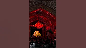 امير الحب علي 