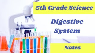 The Digestive System // 5th Grade Science Online