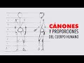 Cánones y proporciones del cuerpo humano