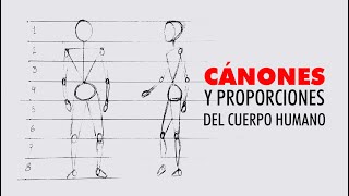 Canons and proportions of the human body