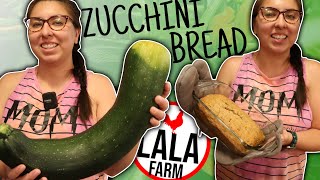 Zucchini Bread out of a MASSIVE Fresh Zucchini • This thing is insane!