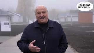 Лукашенко: «Сша Обкакались На Украине И Теперь Пытаются Разжечь Хаос Во Всем Мире»