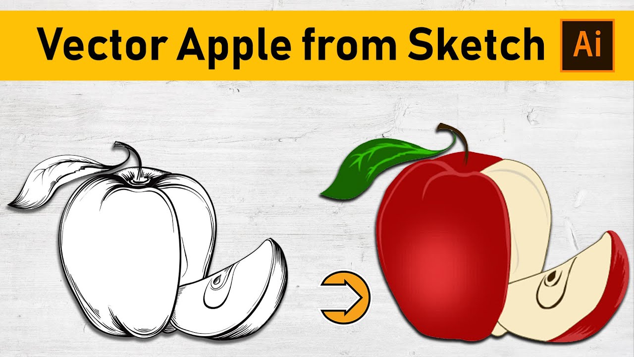 How to Create a Vector Apple from Sketch in Adobe Illustrator (Hindi ...
